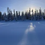 Traditional Mountain In Valdres *
