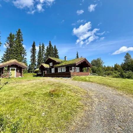 Traditional Mountain In Valdres 別荘 *