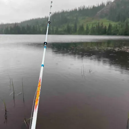 Traditional Mountain In Valdres 別荘 *