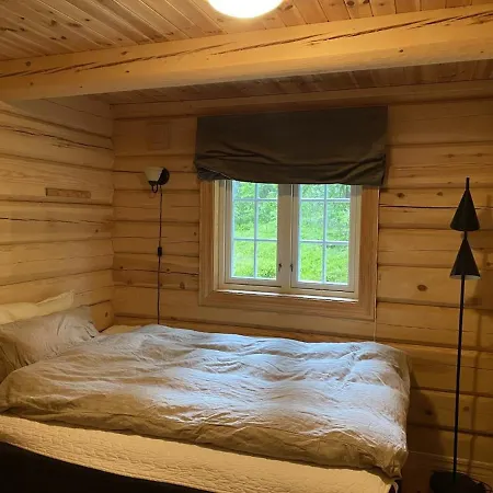 Traditional Mountain In Valdres 別荘