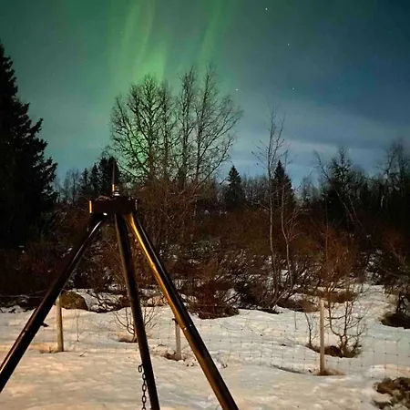 Traditional Mountain In Valdres 別荘 Bagn