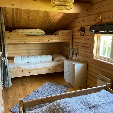 Traditional Mountain In Valdres 別荘 *