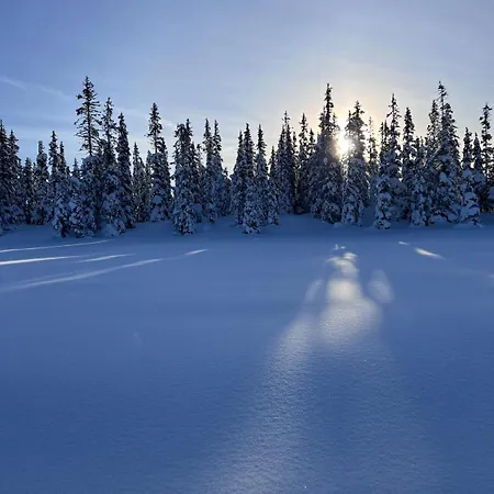 Traditional Mountain In Valdres *