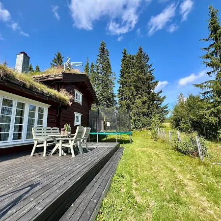 Traditional Mountain In Valdres