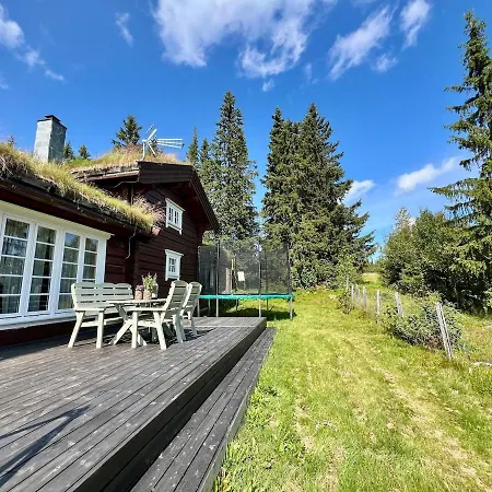 Дом отдыха Traditional Mountain In Valdres