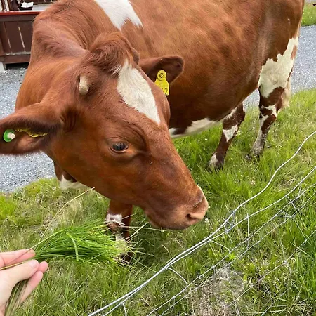 Traditional Mountain In Valdres Bagn